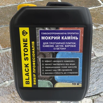 Пропитка защитная Bausto Black Stone 10л влагоотталкивающая с эффектом мокрого камня для бетона