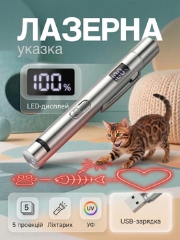Лазерная указка игрушка для кошек и собак фонарик с зарядкой мощная от usb Hausland ультрафиолет для животных красный луч для презентаций проектора учителя серебристый (03130001)