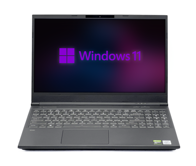 Ноутбук EVOO EG-LP10-BK20J03093/15 IPS 1920x1080 60Гц/i5-10300H/16 GB/480 GB/NVIDIA GeForce GTX 1650/[VGLP10BK20J03 Б/У
