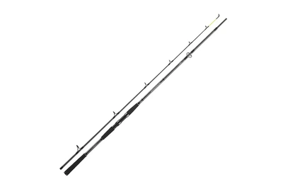 Спиннинг Daiwa Seahunter X 2.60м 60-180г (1414034002)