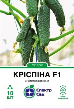 Насіння огірка Кріспіна F1 10шт