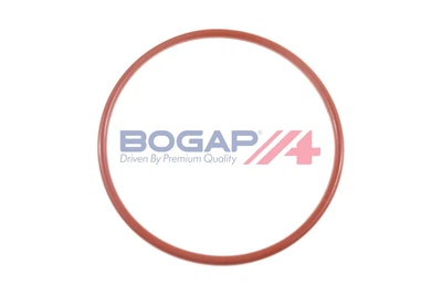 Ущільнювальне кільце паливного насосу BOGAP (C1623101)