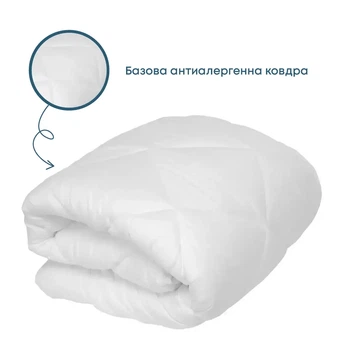 Одеяло FRIENDLY WHITE HOME COMFORT, 200x220 см (1-02805_00000) 4820241220113