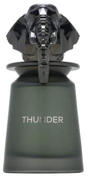 Парфумована вода унісекс French Avenue Thunder 100 мл (6290360379517)