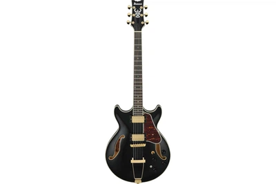 Электрогитара Гітара напівакустична IBANEZ AMH90-BK