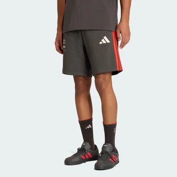Мужские шорты Audi Formula One Team DNA adidas KE6786 (S) черный (4068819513049)