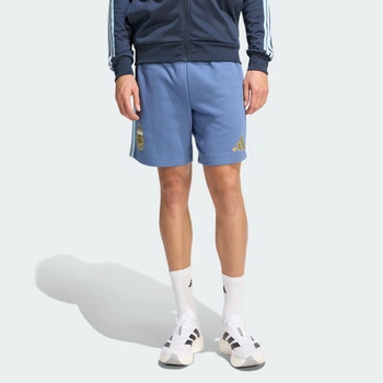 Мужские шорты Argentina DNA adidas JZ6297 (S) синий (4068821830554)