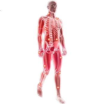 Лампа инфракрасная Renhe Medical TDP CQ-29 300°C Черно-красная