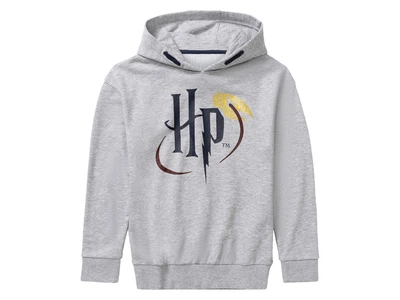 Худі двунитка для хлопчика Disney Harry Potter 423827 146-152 см (10-12 years) сірий