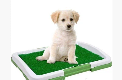 Туалет для собак Puppy Potty Pad MH-872 з покриттям під траву, трирівневий пластиковий лоток для цуценят, собак дрібних і середніх порід, багаторазовий домашній туалет 47×34×6 см