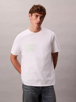 Футболка хлопковая мужская Calvin Klein 4RD810G(White) L Белая с принтом (196669381304)