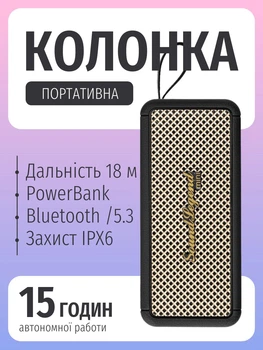 Портативная колонка аккумуляторная с функцией Повербанка 2E SoundLegend Mini акустическая система PowerBank на аккумуляторе с защитой от воды IPX6 и функцией TWS BT 5.3, 40 Вт Черный