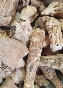 100 г женьшень біле коріння/коріння життя сушене - свіжий срожай