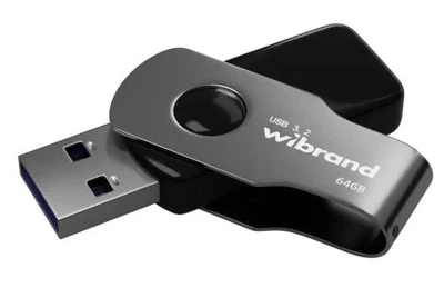 Флеш накопитель USB 64Gb Wibrand Lizard, Black, USB 3.2 Gen 1 (WI3.2/LI64P9B)
