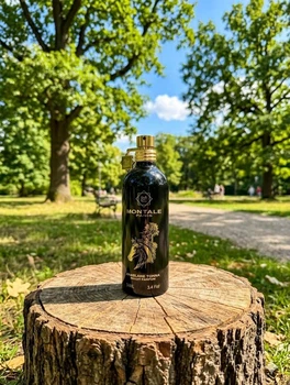 Парфуми Montale Arabians Tonka 100 мл унісекс з бергамотом та удом боби тонка деревно-східна розкіш потужний шлейф та стійкість
