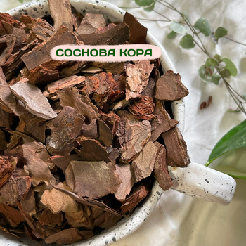 Соснова кора 2 л