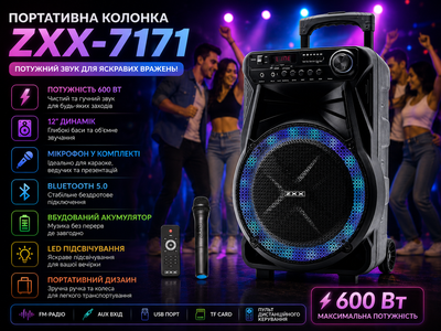 Колонка с микрофоном ZXX-7171 / Акустическая переносная колонка 600Вт 12" 35х30х54см zxx EUMAX6406 Черный EUMAX6406