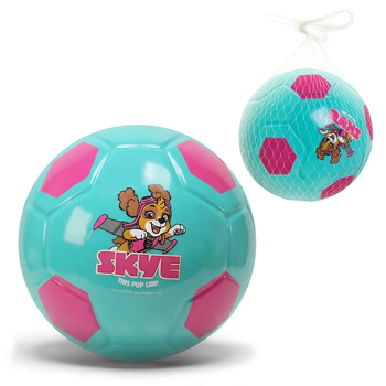 М'яч гумовий арт. PP2514 20 см,Paw Patrol 110 гр блакитний
