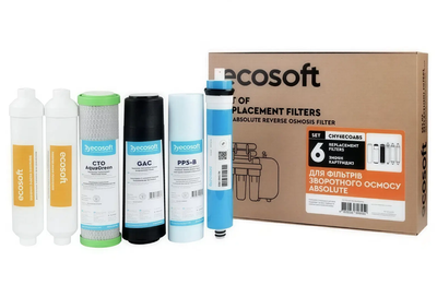 Комплект картриджів Ecosoft Absolute "12 місяців" (CHV6ECOABS)