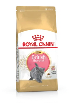 Royal Canin Kitten British Shorthair для кошенят породи британська короткошерста 10 кг