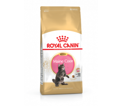 Royal Canin Maine Coon Kitten для породи мейн-кун 2 кг