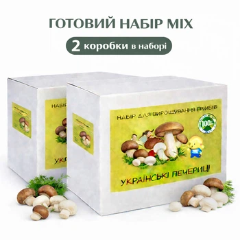 Набор для выращивания MIX белых и королевских шампиньонов, грибная коробка с засеянным мицелием, готовый комплект для урожая 2 шт