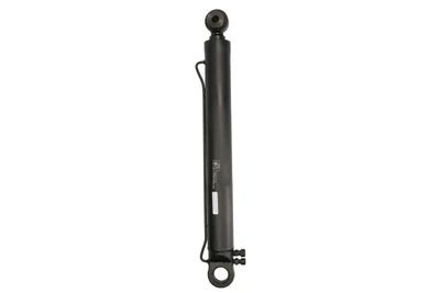 Цилиндр подъема кабины DT Spare Parts (1.23008)