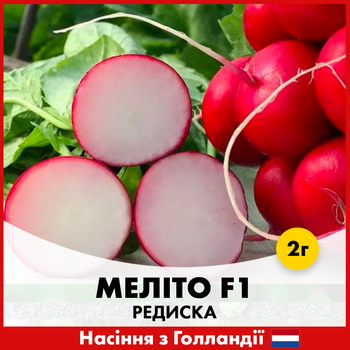 Голландське насіння Hazera Редиска Меліто F1 2 г