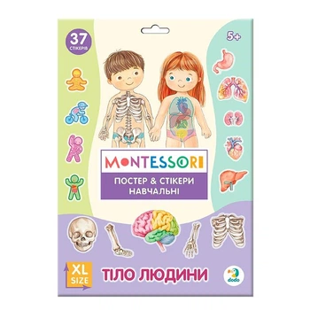 Учебный постер Dodo Тело человека XL с наклейками 300901
