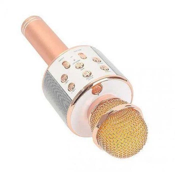 Беспроводной караоке-микрофон Bluetooth Wster WS-858 CG01 PR3 для детей
