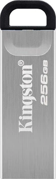 Флеш-память USB Kingston DTKN 256GB USB 3.2 Gen 1
