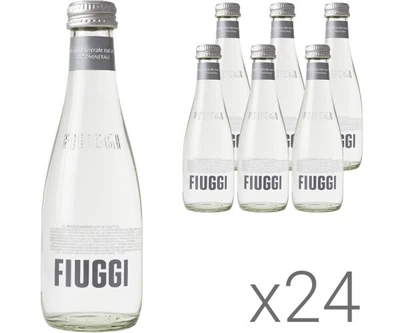 Упаковка негазованої олігамінеральної води Fiuggi скло 24 шт. х 0,25 л