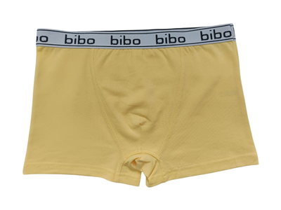 Труси для хлопчика боксерки Bibo 24065 164 (2400000241003)