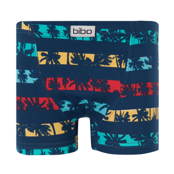 Труси для хлопчика боксерки Bibo 22040 140 (2400000037231)