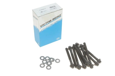 Комплект болтів ГБЦ Victor-Reinz 14-32089-01 VICTOR REINZ (143208901)