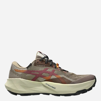 Мужские кроссовки для бега ASICS Trabuco 14 Gtx 1011C165-020 44.5 Бежевые (4571633765926)