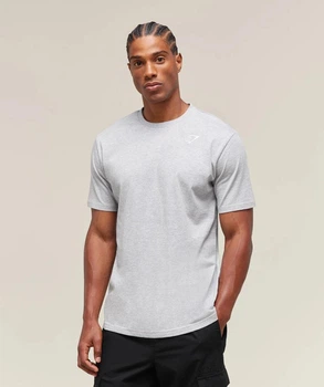 Футболка хлопковая мужская Gymshark 195494 XL Светло-серая (2200005156667)