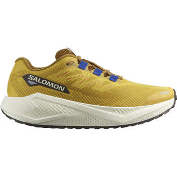 Кроссовки Salomon AERO BLAZE 3 GRVL 42.5 (8,5 UK) 27 см желтый s479742