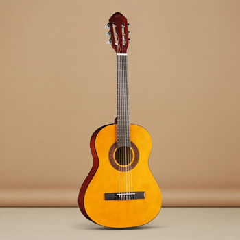 Классическая гитара Eko Guitars CS5-NAT (Natural)