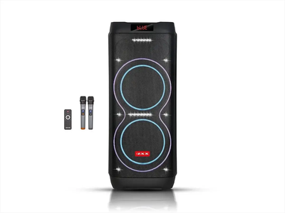 Портативная колонка ZXX 100Вт с 2 беспроводными микрофонами, Bluetooth, TWS, FM-радио, USB, AUX, караоке, аккумуляторная акустика