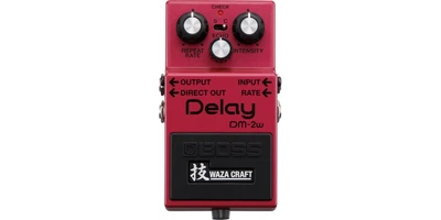 Педаль эффектов Boss DM2W Delay Waza Craft