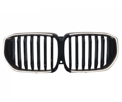 Решітка радіатора BMW X5 G05 2019-2023 (G05N2)