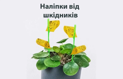 Ловушка клеевая от насекомых для цветов