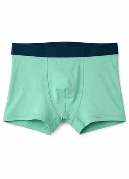 Трусы из хлопка H&M 785948c66 110-116см зеленые (100013092)