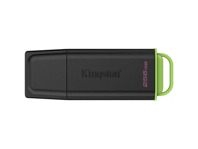 Флешка Kingston 256 GB DataTraveler Exodia G2 (DTXG2/256GB)