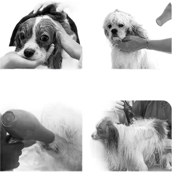Фен для шерсті собак Jinchongshi Pet Smart Blower, інструмент для догляду за шерстю великих собак, для золотистих ретриверів, потужність 2100 Вт.
