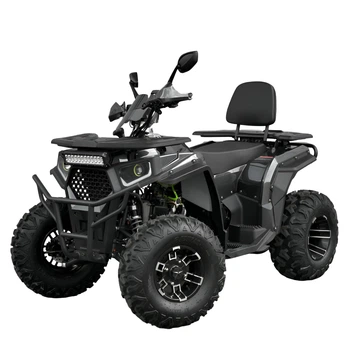 Бензиновый квадроцикл Profi AFB200L-19, двигатель 180 см³, аккумулятор 12V/9Ah, колеса 10", черный
