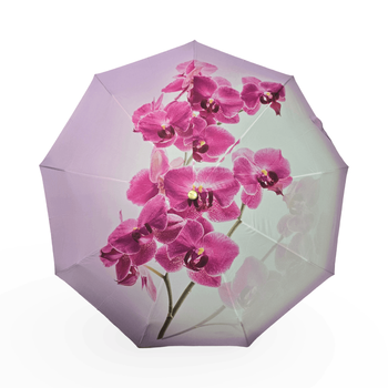 Женский зонт-автомат Rain Flowers, 9 спиц, карбон, подарочная упаковка R01070F7