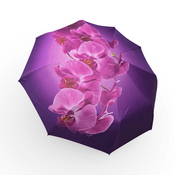 Жіноча парасоля-автомат Rain Flowers 9 спиць карбон подарункова упаковка R01070F9