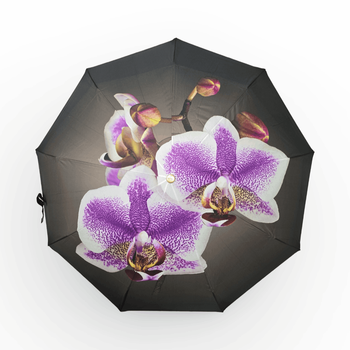 Жіноча парасоля-автомат Rain Flowers 9 спиць карбон подарункова упаковка R01070F6
